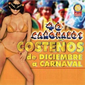 40 Cañonazos Costeños de Diciembre a Carnaval artwork