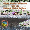 Gipsy Music Collection Vol. 14