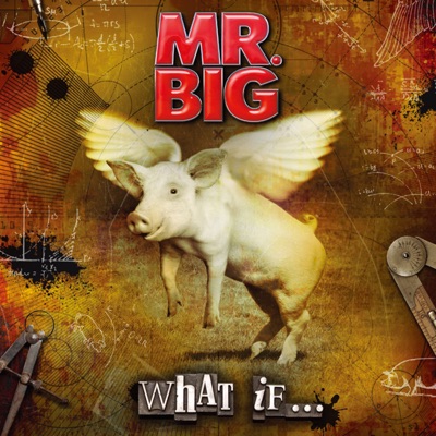 What If... - Mr. Big