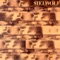 Reddrum - Sielwolf lyrics