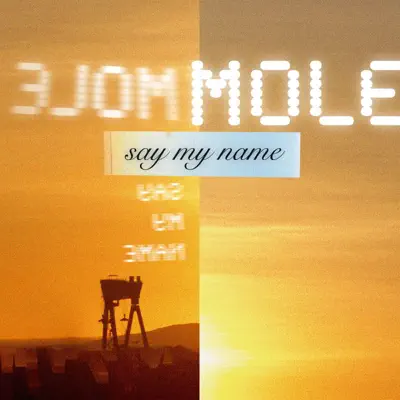 Say My Name - Single - Mole