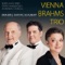 Trio No. 2 in C major Op. 87, Scherzo - Presto artwork