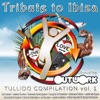 Tullido Compilation, Vol. 1 - Tribute to Ibiza (Mixed By Outwork)
