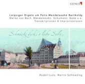 Ein feste Burg ist unser Gott, BWV 80: Ein feste Burg ist unser Gott (arr. R. Lutz) artwork