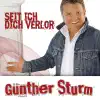 Stream & download Seit Ich Dich Verlor (Radion Version) - Single