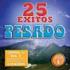 Pesado: 25 Éxitos Pesados album lyrics, reviews, download