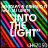 INTO the LIGHT album lyrics, reviews, download
