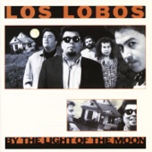 Los Lobos - One Time One Night