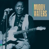 Muddy Waters - The Blues Had a Baby and They Named It Rock and Roll