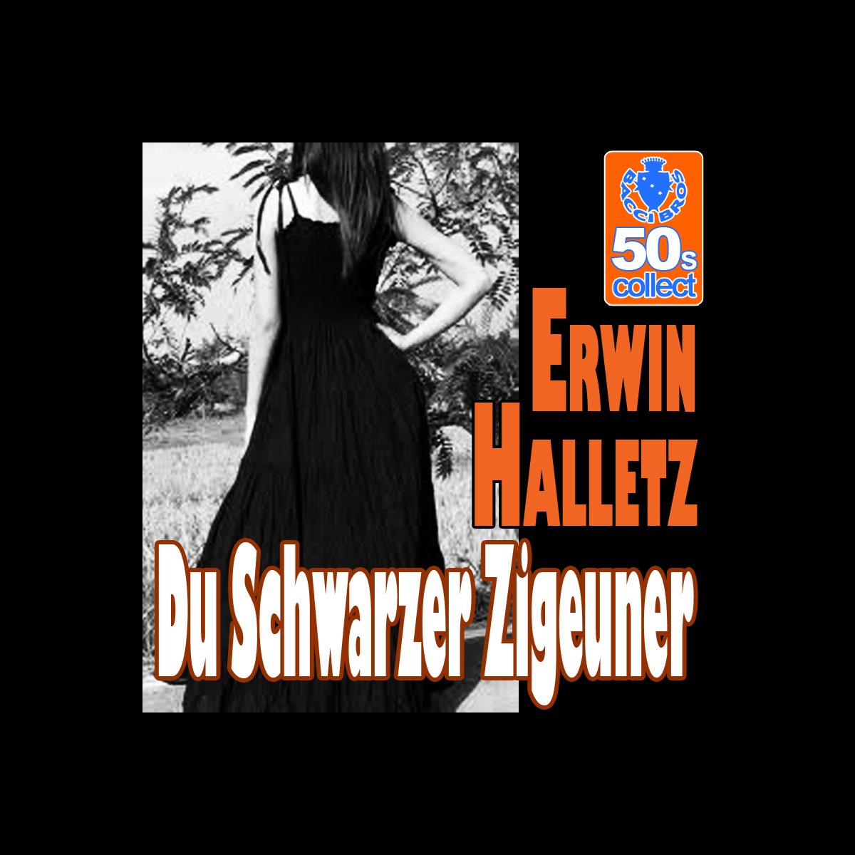‎Du Schwarzer Zigeuner (Digitally Remastered) - Single par Erwin ...