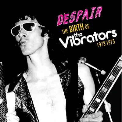 The Birth Of The Vibrators 1973-1975 - Despair