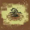 New Roots - EP album lyrics, reviews, download