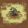 New Roots - EP