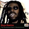 Buju Banton - Reunion (Ft. Wayne Wonder)