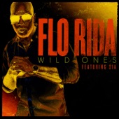 Wild Ones (feat. Sia) artwork