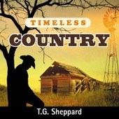 Timeless Country: T.G. Sheppard artwork
