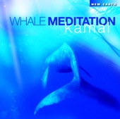 Whale Meditation