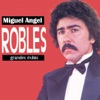 Grandes Éxitos: Miguel Angel Robles