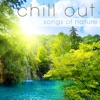 Chill Out: Songs of Nature