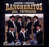 Exitos En Vivo