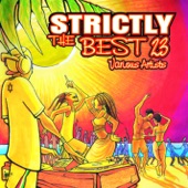 Strictly the Best, Vol. 23 artwork