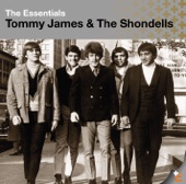 Tommy James & The Shondells - Crystal Blue Persuasions (Single Version)