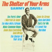 The Shelter of Your Arms artwork