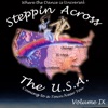 Steppin Across the USA Volume 9