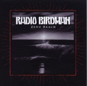 Radio Birdman - You Just Make It Worse