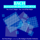 Brandenburg Concerto No 4 in G major, BWV 1049: II. Andante artwork