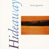 David Sanborn - Again an Again