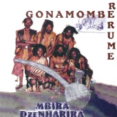 Gonamombe Rerume artwork