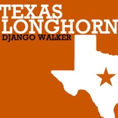 Texas Longhorn artwork