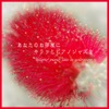 Grooploop - 太陽のあたる場所
