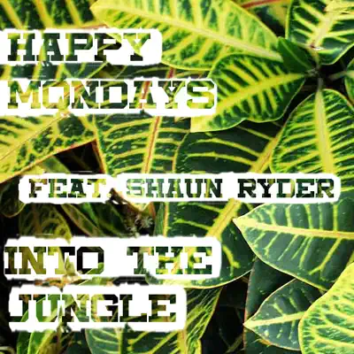 Into the Jungle (feat. Shaun Ryder) - Happy Mondays