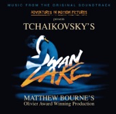 Tchaikovsky: Swan Lake [Matthew Bourne - Deluxe Edition] artwork