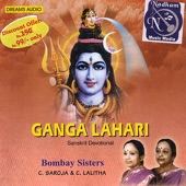 Ganga Lahari (Vinyl,Out of Print,,Live,Re-mastered,Collection,Bonus Tracks,Promotional) artwork