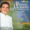 Paraiso Llanero - Venezuela, 2008