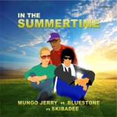 In the Summertime (Extended Mix) artwork