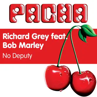 No Deputy by Richard Grey song reviws