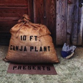 10 Ft. Ganja Plant Presents artwork
