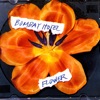 Bombay Hotel - Between Leaves