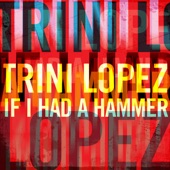 Trini Lopez - If I Had a Hammer artwork