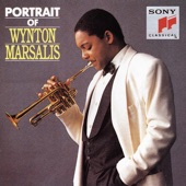 Wynton Marsalis - Sometimes I Feel Like a Motherless Child