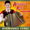 Harmonika-Gaudi