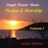 Praise & Worship, Vol. 1