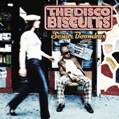The Disco Biscuits - Jigsaw Earth