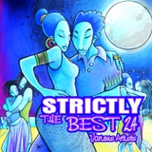 Strictly the Best, Vol. 24 artwork