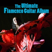 The Ultimate Flamenco Guitar Album artwork