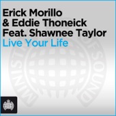 Live Your Life (Eddie Thoneick Chill Out Mix) [feat. Shawnee Taylor] artwork